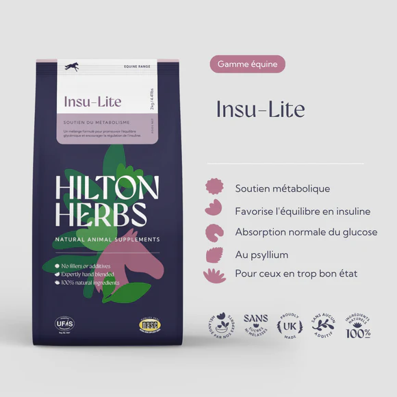 Insu-Lite – Image 2
