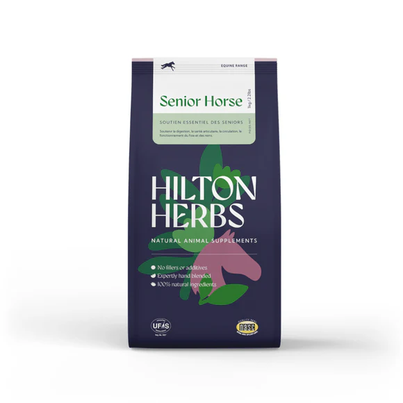Senior Horse