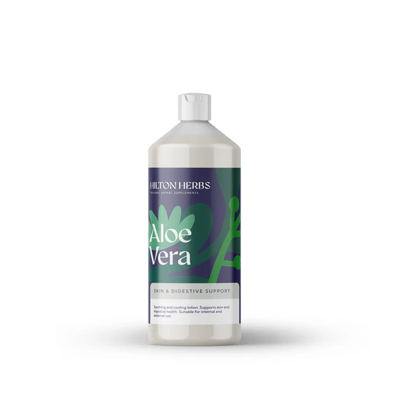 Aloe Vera