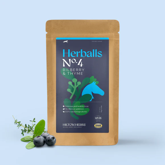 Herballs Myrtilles et Thym