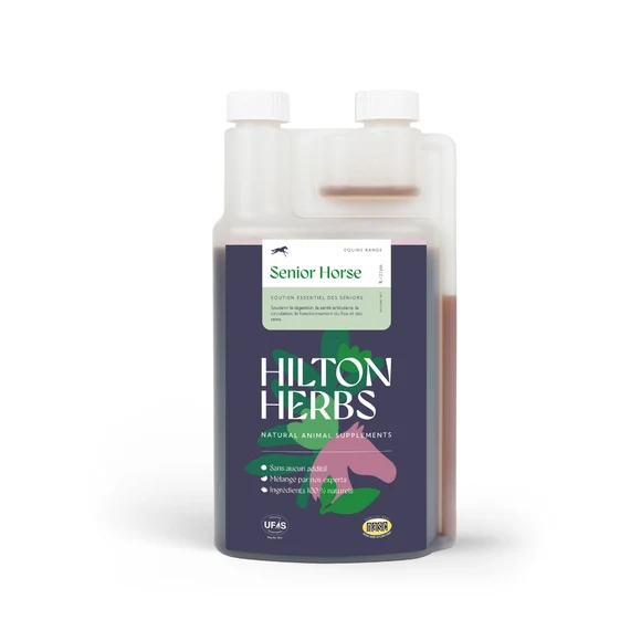 Senior Horse Liquide